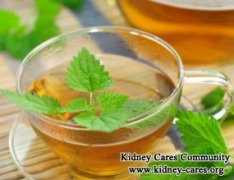 Kidney Function And Nettle Tea