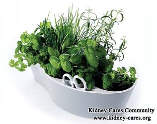Herbs to Revive Kidney Failure