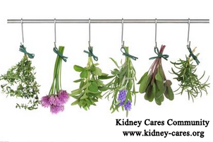 Herbal Treatment for Renal Parenchymal Disease