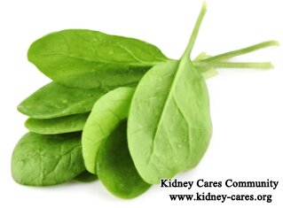 Can Kidney Patients Eat Spinach