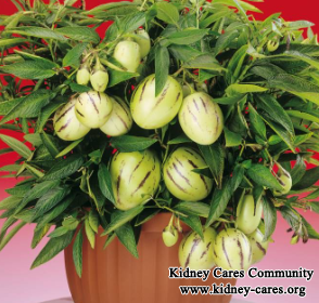 Pepino Melon Fruit: A Health Diet For Kidney Disease People