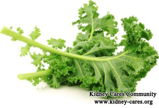Is Taking Kale Good for Chronic Kidney Disease