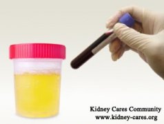 Does Polycystic Kidney Disease Cause Bleeding in the Urine