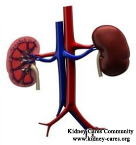What Does It Mean If Your Kidneys Are Small