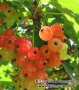 Is Gooseberry Good for Diabetic Nephropathy Patients