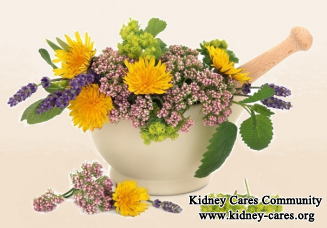 How to Treat Shrinking Kidney Naturally