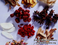 The Characteristic Chinese Medicine Treat Uremia