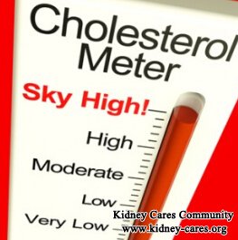 High Cholesterol and Kidney Disease