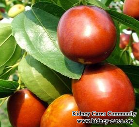 Can PKD Patients With High Creatinine Level Eat Jujube