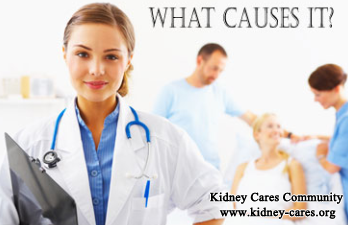 Why Kidney Disease Patients Have Elevated Creatinine Level
