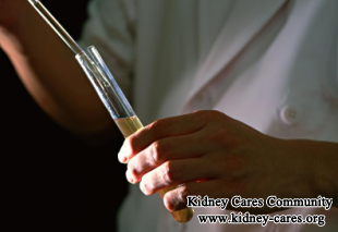 Why Does Nephrotic Syndrome Patients Have Low Levels Of Protein In Blood