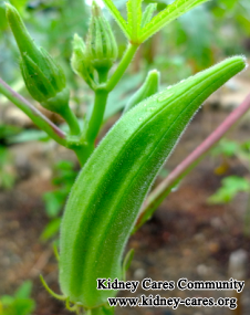 Lady Finger For Kidney Dialysis Patients