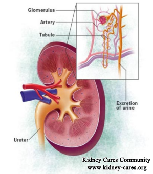 Treatment for Low GFR and High Creatinine Level