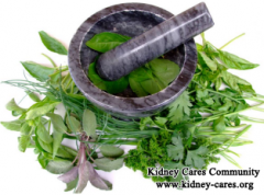 Herbal Treatment for IgA Nephropathy without Hormone