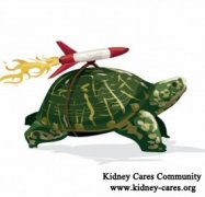 How Quickly Does Creatinine Increase with Polycystic Kidneys