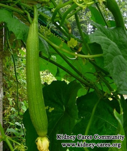 Can Snake Gourd Bring Low GFR To Normal