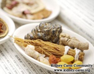 Can You Slow the Progression of Kidney Failure with Chinese Herbs