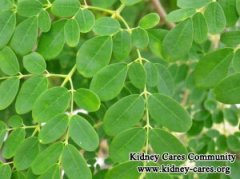 Can I Use Moringa with PKD