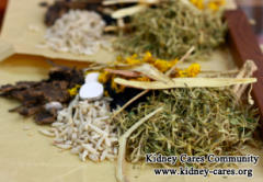 How About The Treatment Of Kidney Atrophy