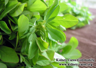 Can I Give Fenugreek Leaf for Creatinine Level 4.6 Patient