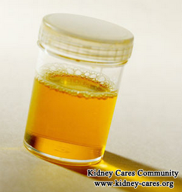 What To Do With Too Much Protein In Urine and CKD
