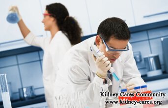 Common Therapies For IgA Nephropathy