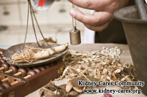 IgA Nephropathy With Serum Creatinine 2.3: What To DO