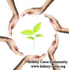 Profound Mystery Of Chinese Medicine Treatment For Lupus Nephritis
