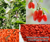 Natural Foods Are Good For Diabetic Nephropathy Patients