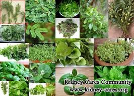 Is It True that Herbs Destroy Kidneys