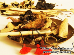 Is Obligatory For IgA Nephropathy Patients To Take Dialysis