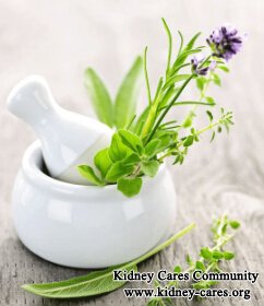 Natural Treatment to Keep Renal Function Stable for PKD Patients