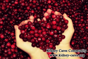 How Do Kidney Function Restore Naturally With Diet
