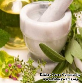 Natural Methods To Reverse Chronic Kidney Disease