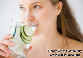Can Kidney Function Be Improved with Diet