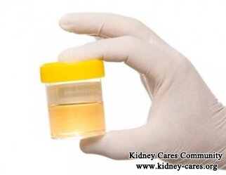 Natural Treatment for Proteinuria in Kidney Disease