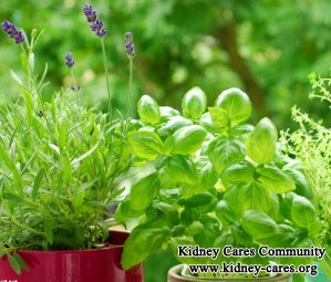 Is There Any Herbal Treatment on Renal Cyst