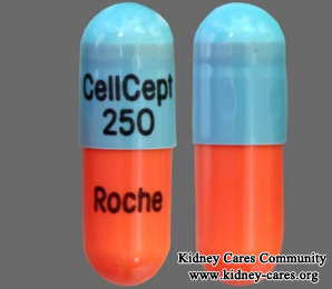 Does Cellcept Help My Son With Final Stage Of FSGS