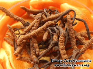 Can Cordyceps Lower High Creatinine And Repair Damaged Kidneys