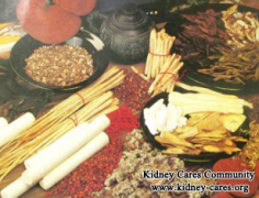 How Can I Slow Down The Deterioration Of Kidneys In Stage 3 IgA Nephropathy