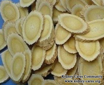 Can Diabetic Nephropathy Patients Eat Poria