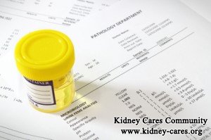 Treatment of Proteinuria in Type 1 Diabetics