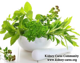 What Herbs Can I Take to Remove Protein from My Urine