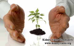 Can Large Cysts In PKD Be Reduced