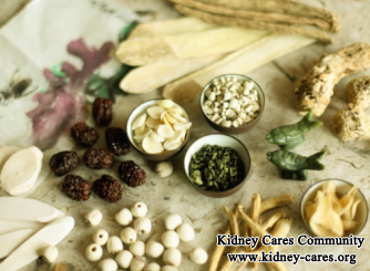 What Are Ways to Recover Kidney Failure