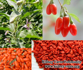 Does Goji Help Kidney Problems