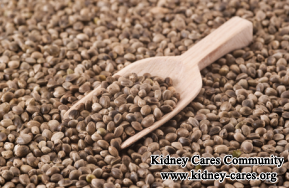 Does Hemp Seeds Help Renal Disease