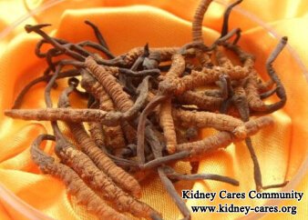 Chinese Herbs For Chronic Kidney Failure