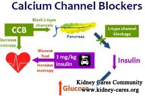 Why People Are Given Calcium Channel Blockers With Acute Kidney Injury