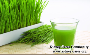 What Is The Effect Of Wheat Grass On Failed Kidneys